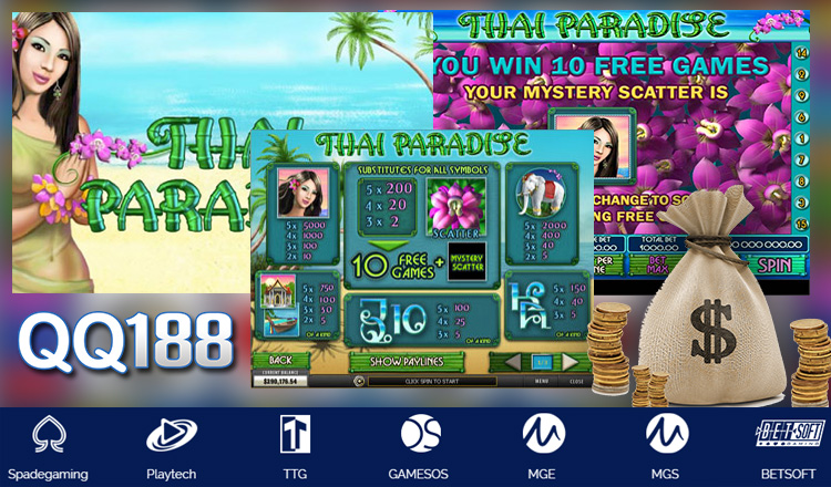Thai Paradise Slot Big Win